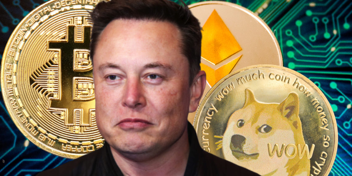 elon buys bitcoin